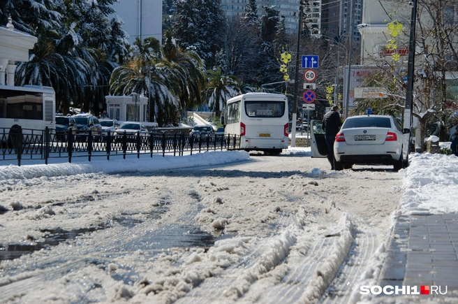 Так выглядела улица Горького в субботу, 22 февраля, днем  | Источник: Оксана Витязь / SOCHI1.RU