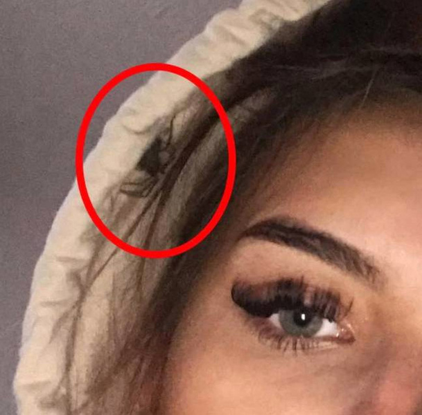 Девушка послала друзьям «похмельное селфи», не заметив паука у себя в капюшоне