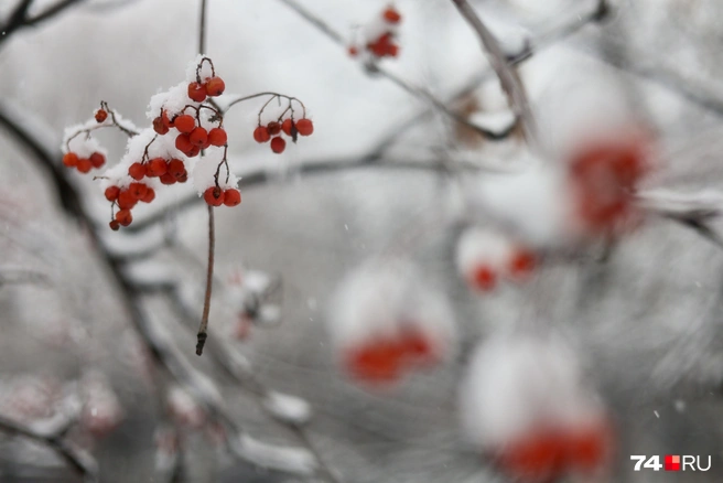 Да и для взрослых мир начинает играть новыми красками | Источник: Наталья Лапцевич