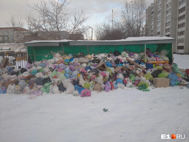 На место этой свалки вполне бы влезла однокомнатная квартира | Источник: Алексей Бердников, читатель E1.RU