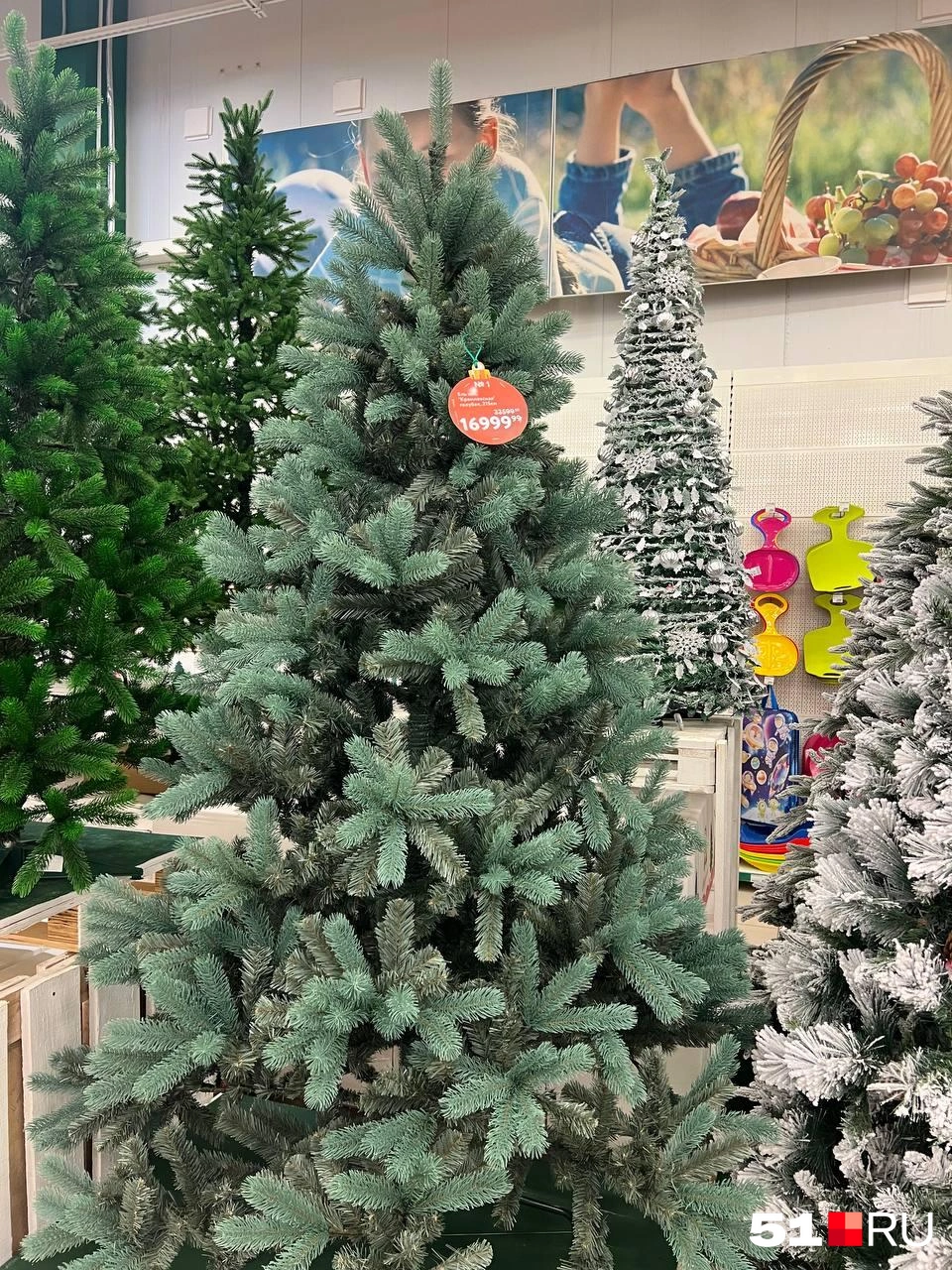 Источник: Александра Балаба