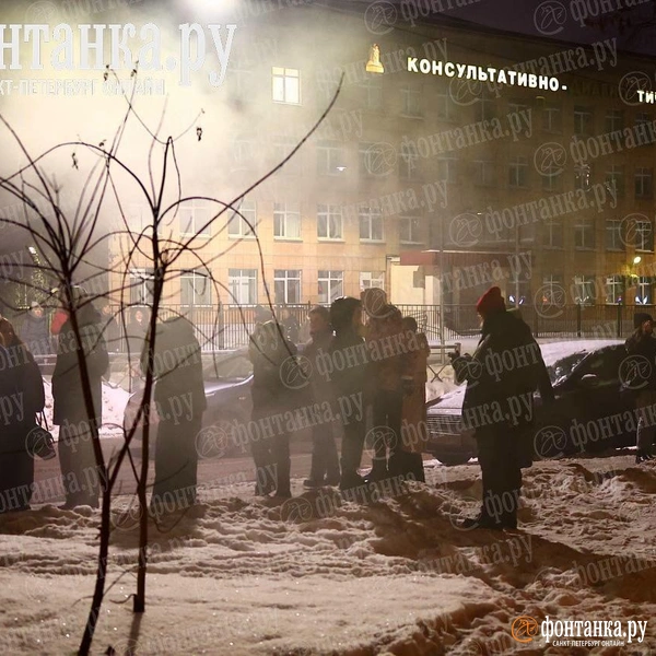 Источник: Дарья Драй / «Фонтанка.ру»