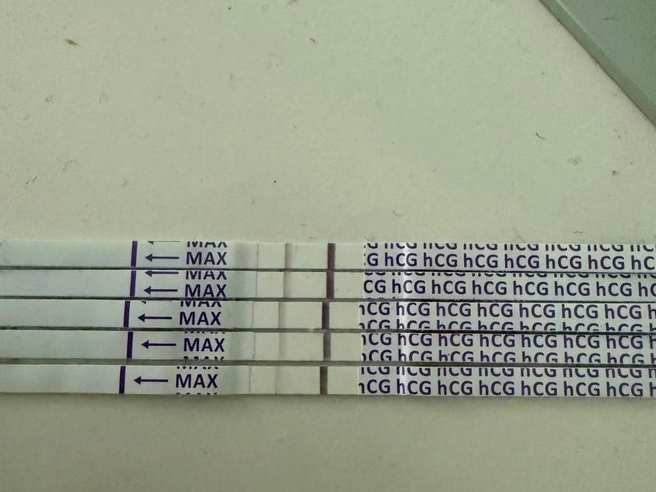 Софья сохраняла тесты, чтобы отслеживать изменения полоски | Источник: Софья Волегова