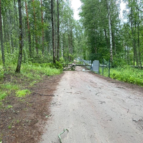 Источник: читатель «Фонтанки» Сергей