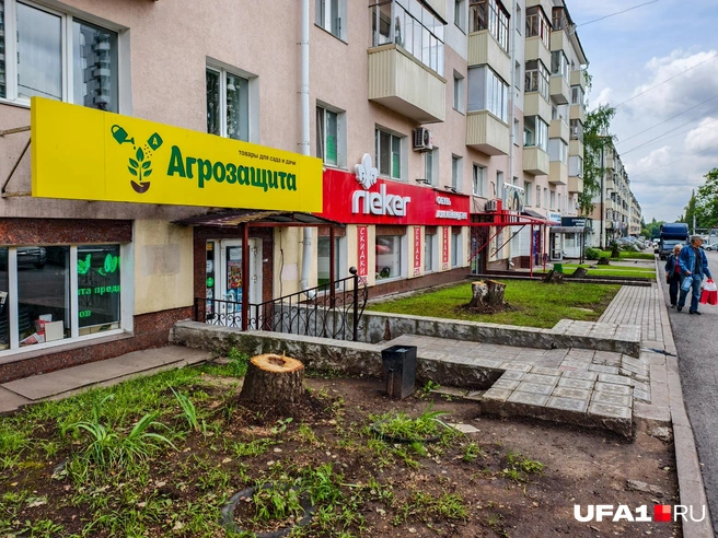 Агрозащита не помогла | Источник: Булат Салихов / UFA1.RU