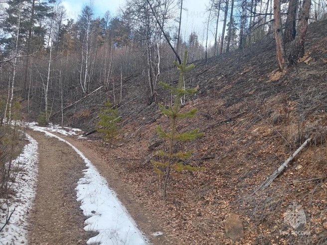 Пожар не успел разгореться | Источник: ГУ МЧС по Забайкальскому краю / T.me