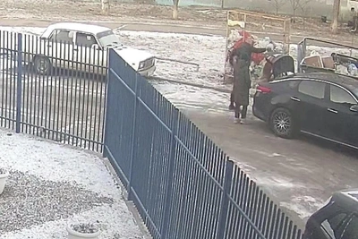 Приговор за убийство собаки в Волжском расколол зоозащитников