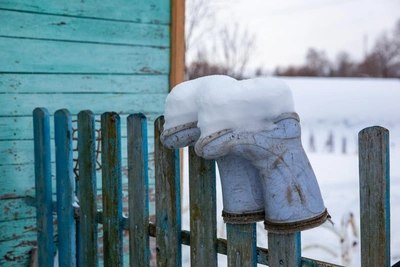 Прогноз урожая для ярославских дачников после снежной зимы