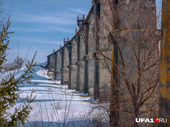 Место для фотосессиий очень хорошее | Источник: Булат Салихов / UFA1.RU