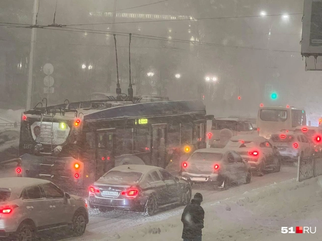 Источник: Александра Балаба / 51.RU