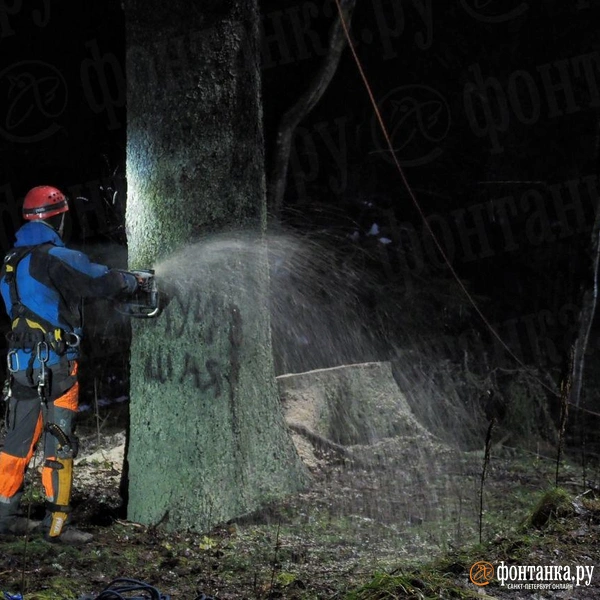 Источник: Михаил Огнев / FONTANKA.RU