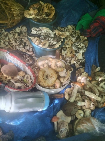 Источник: Александр Сарвенков