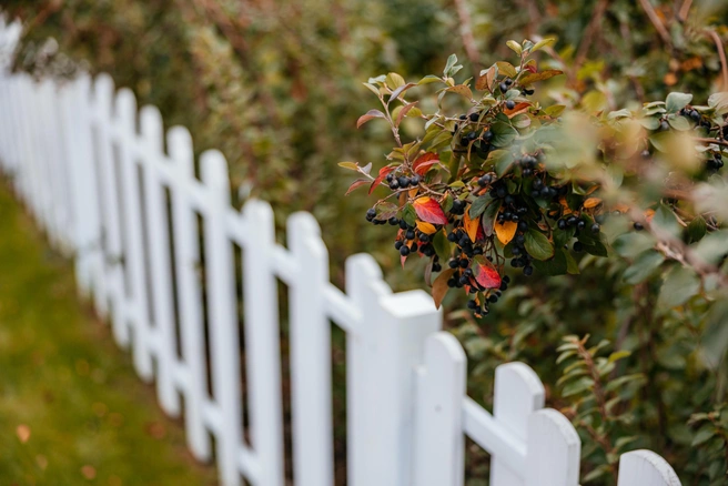 Участки в поселках «Заповедный» и «Сказка» можно приобрести в рассрочку без первоначального взноса | Источник: ООО «Навигатор. Управление активами»