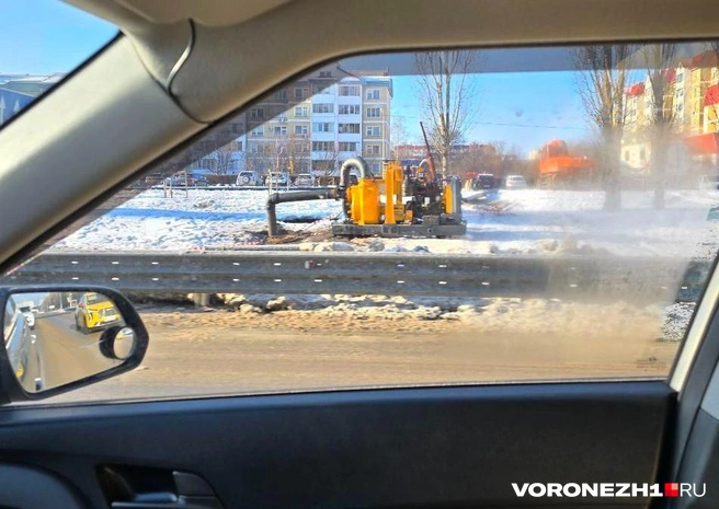 Источник: читательница Voronezh1.ru