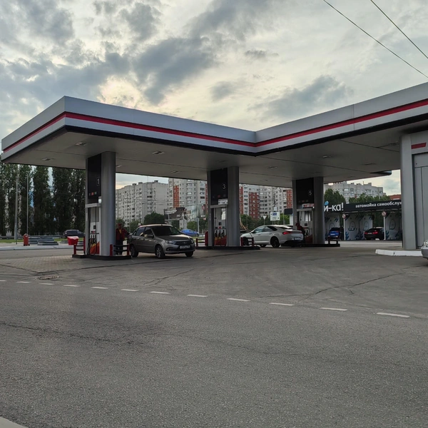 Источник: Андрей Пашинский / Voronezh1.ru