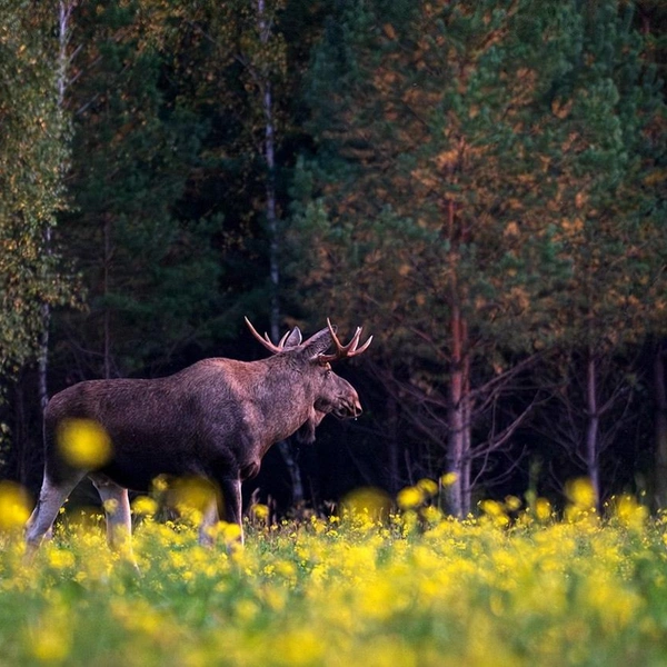 Источник: Виталий Бодрягин / t.me