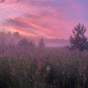 userpic__ИринкаКоршун