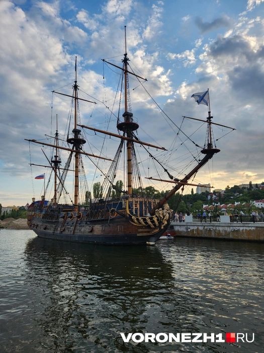 Источник: Ирина Булгакова / Voronezh1.ru