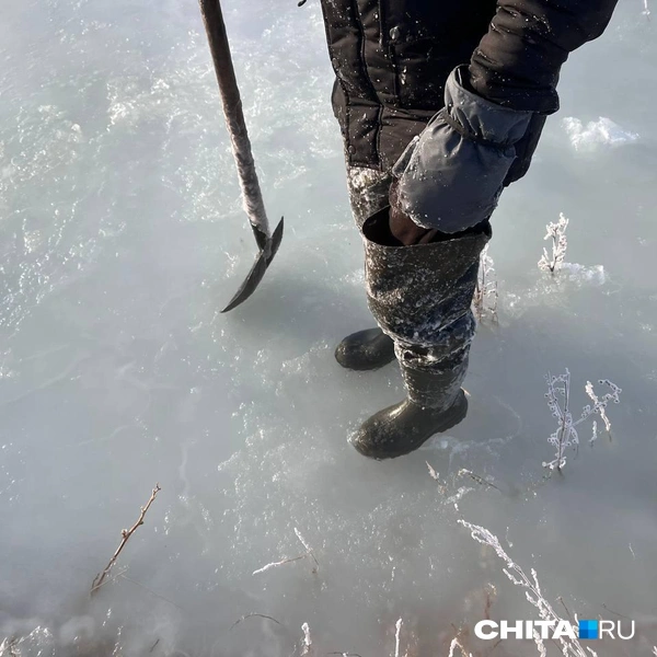Источник: Александр Хамраев / CHITA.RU