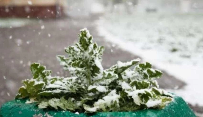 В выходные ожидается дождливая погода, местами с заморозками | Источник: nk-tv.com