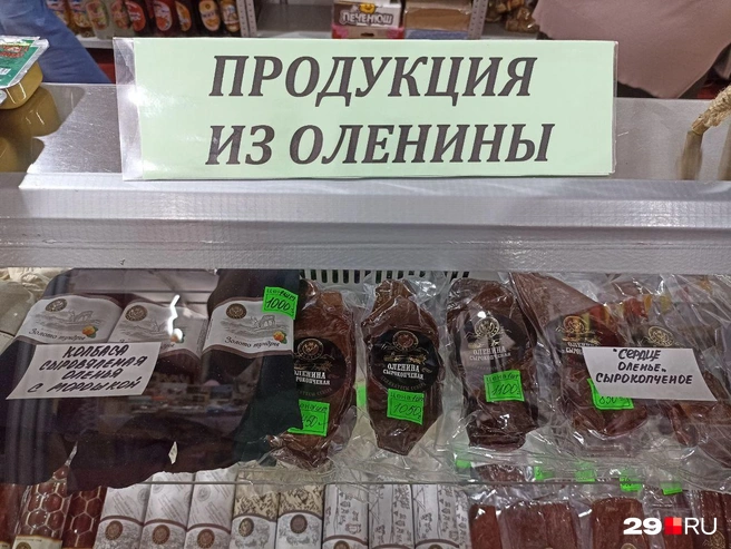 Источник: Иван Митюшёв / 29.RU