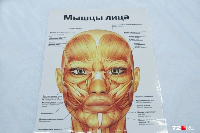 Источник: Александр Петровский