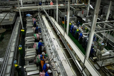 Дмитрий Демешин поставил задачи по развитию рыбохозяйственного комплекса в крае