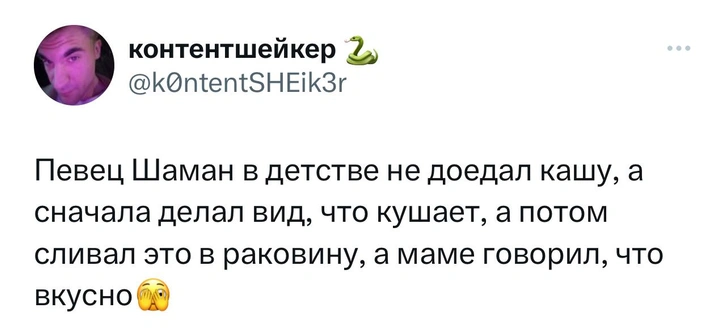 Лучшие шутки о дипломной работе Shaman, которую он списал с Википедии