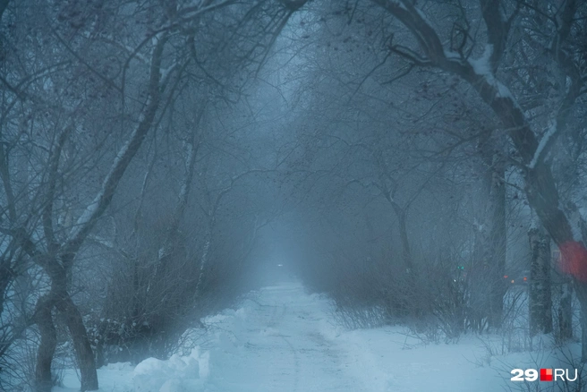 Источник: Иван Митюшёв / 29.RU