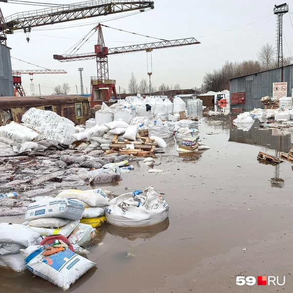 В воде плавает товар | Источник: Василина Любимова / 59.RU