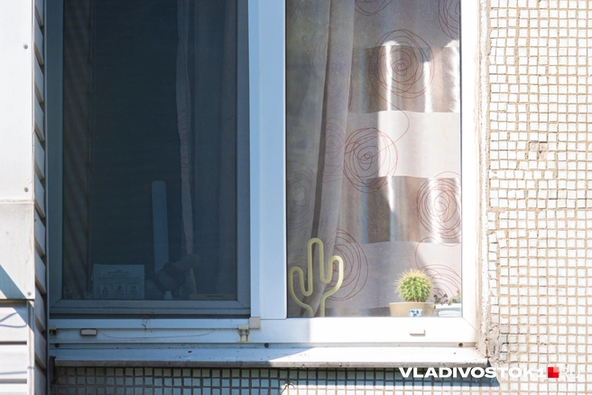 Два друга, такие разные, но все-таки вместе | Источник: Елена Буйвол / VLADIVOSTOK1.RU