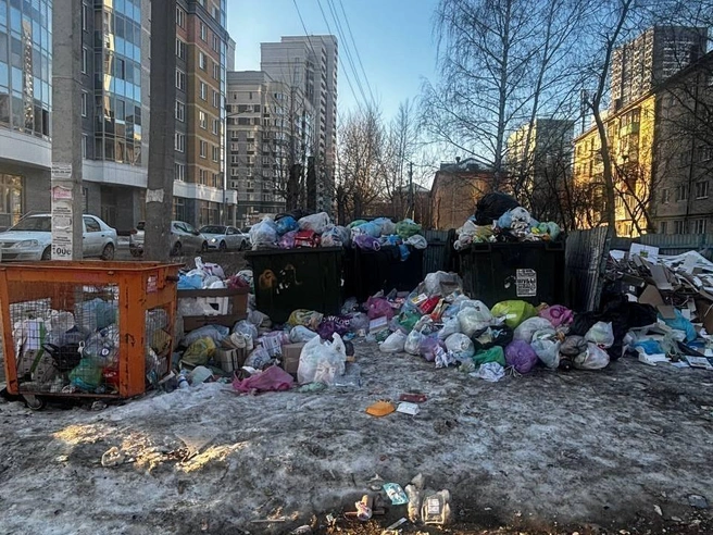 Мусорная площадка у дома на Данилы Зверева, 16. | Источник: читатель E1.RU