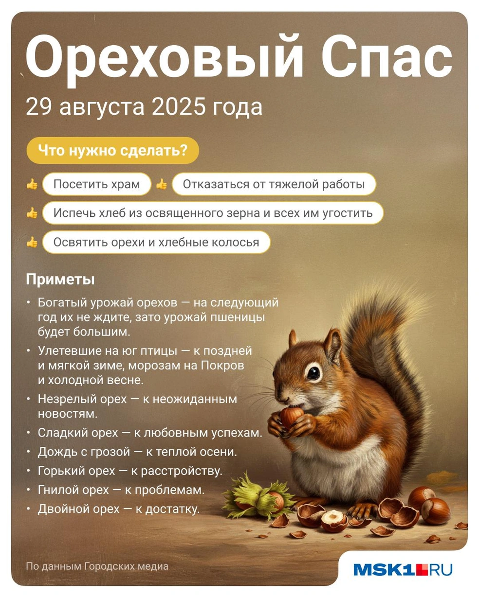 Источник: Полина Авдошина / Городские медиа