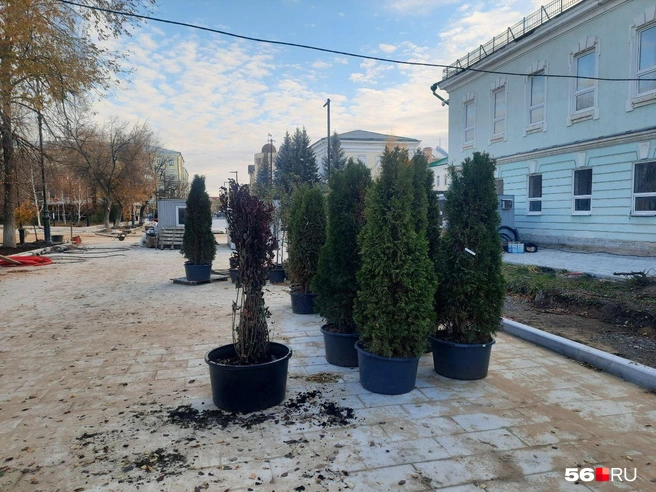 Источник: Анастасия Баринова / 56.RU