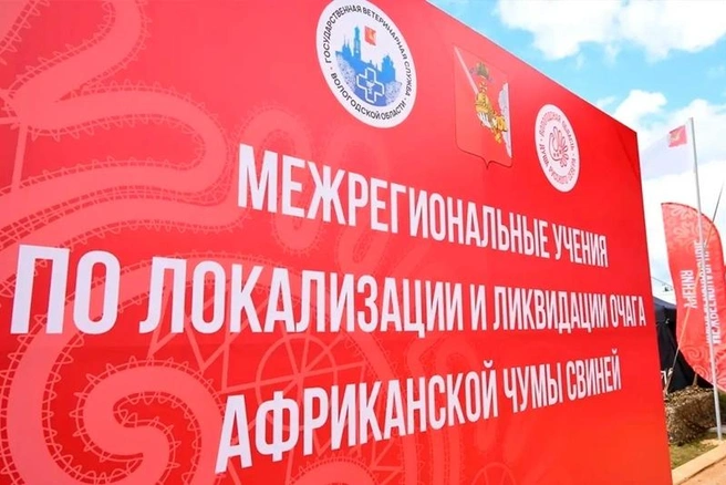 Источник: st.cherinfo.ru
