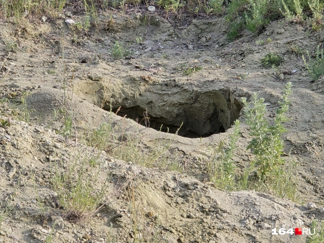 Мы копались в таких ямках | Источник: Семен Коротов-Майбах / 164.RU
