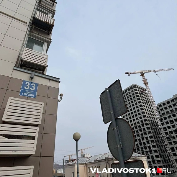 Источник: Елена Буйвол / VLADIVOSTOK1.RU