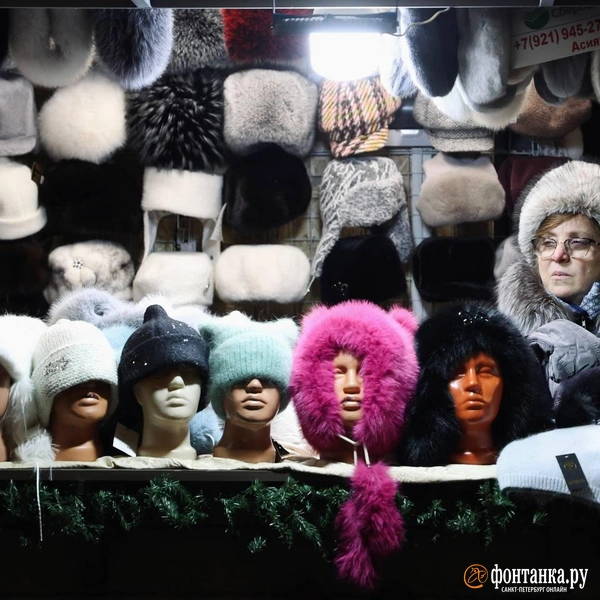 Источник: Марина Мамонтова/FONTANKA.RU