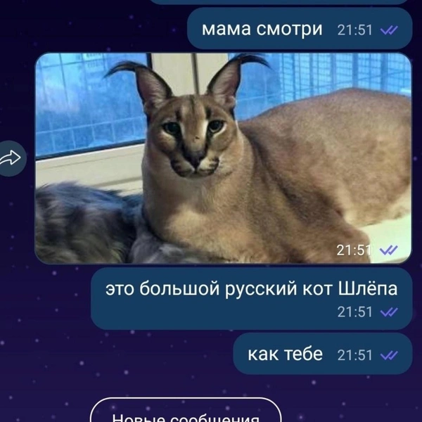 Источник: Соцсети