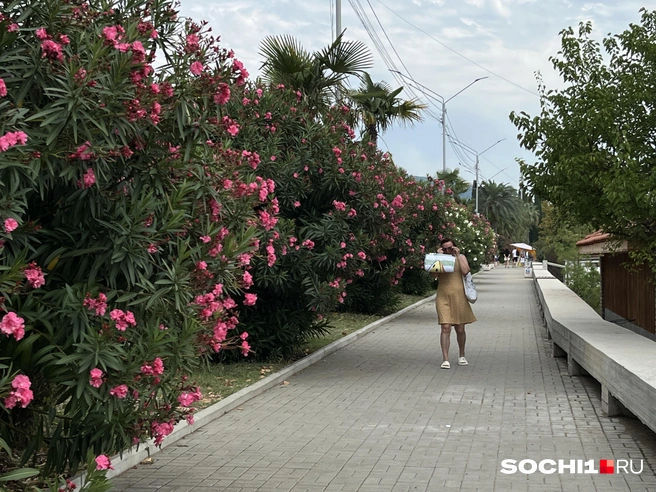Даже водой можно отравиться | Источник: Анна Грицевич / SOCHI1.RU