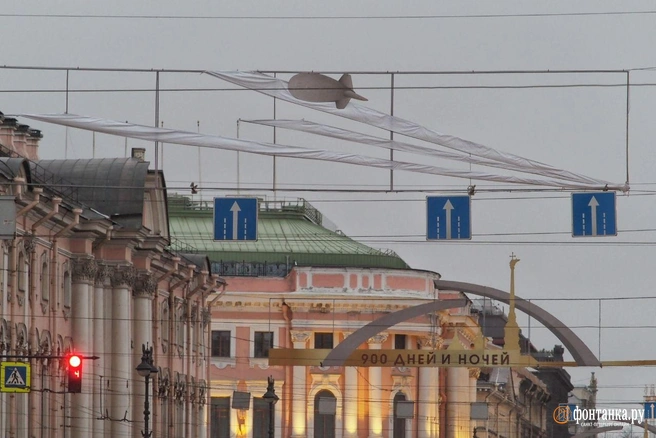 Источник: Михаил Огнев/«Фонтанка.ру»