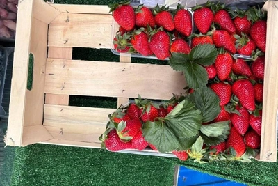 На Сенном рынке Краснодара появилась первая клубника