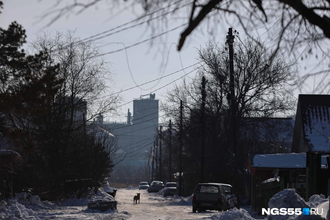 Вид на Немецкий городок  | Источник: Евгений Софийчук / NGS55.RU 