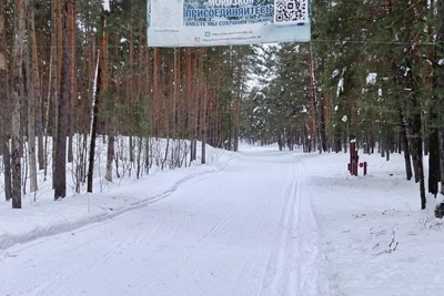 Лыжную базу «Морозко» возродят под Нижним Новгородом к 2026 году