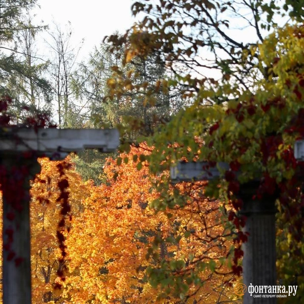 Источник: Лада Шаталова / читательница «Фонтанки»