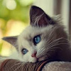 userpic__Polina