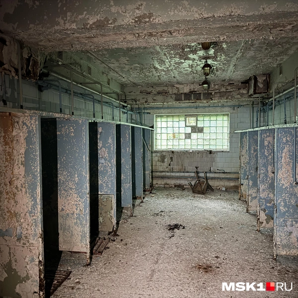 Источник: Алина Мельникова / MSK1.RU