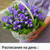 userpic__Oksanka.detinkina12