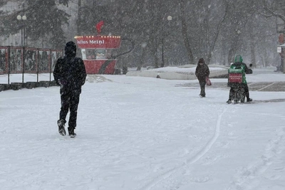 Snowfall blankets Rostov streets, photos show