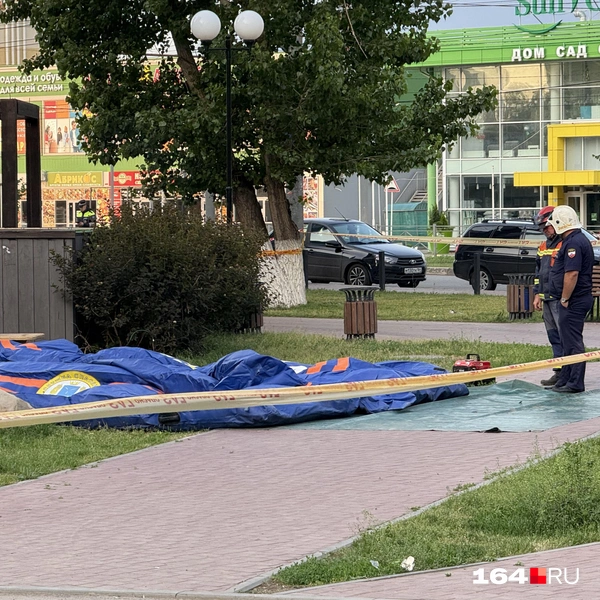 Источник: Сергей Петунин / 164.RU